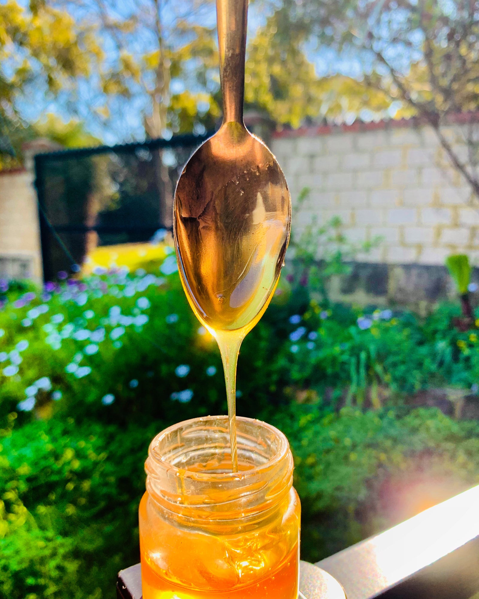The Scoop on Honey