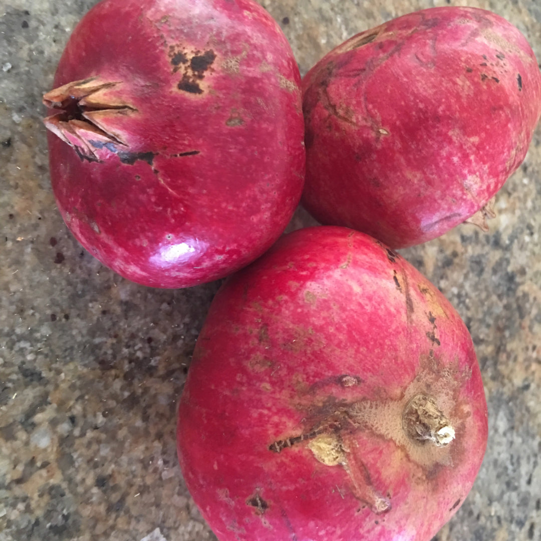 Our Top Tips for the Festive Season and Summer