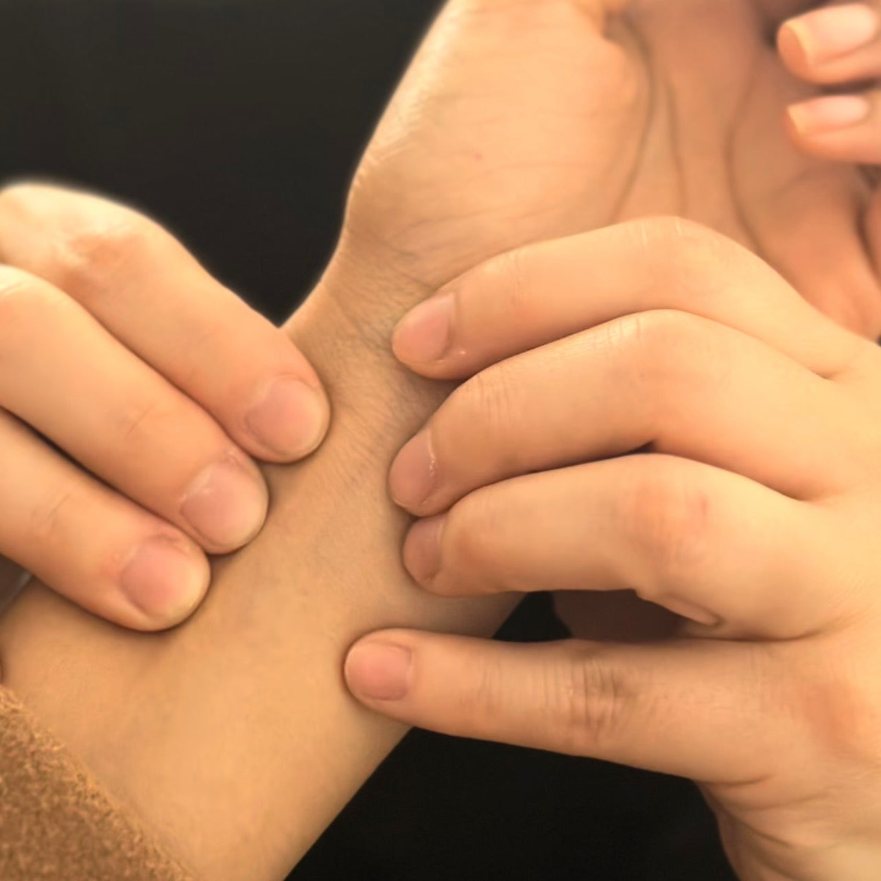 Nadi Pariksha (pulse diagnosis) Workshop