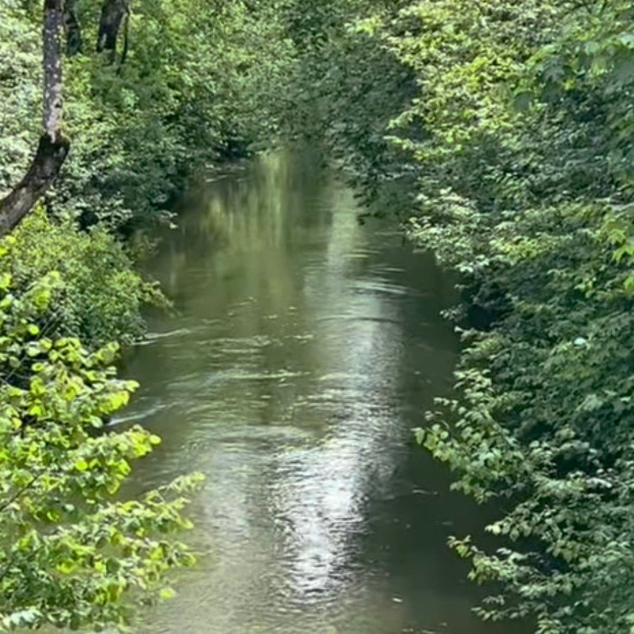 Water is Jeeva — Life