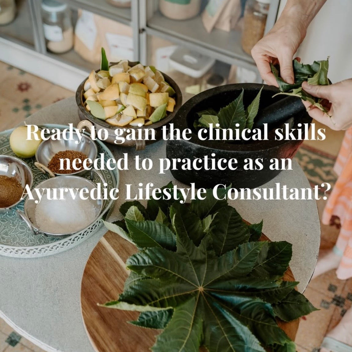 Train with us to become an Ayurvedic Lifestyle Consultant