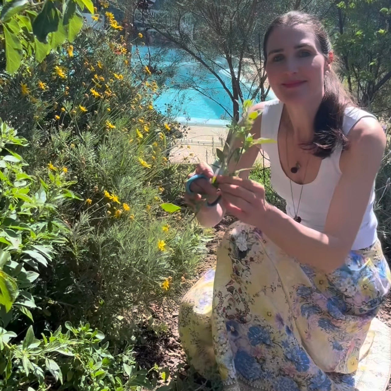From our Lakshmi Garden to our treatment room