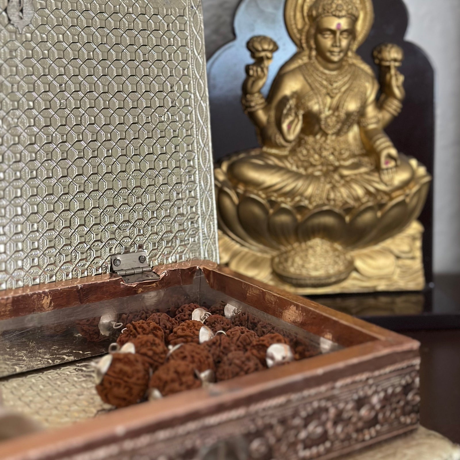 Rudraksha beads - an ornament of Lord Shiva