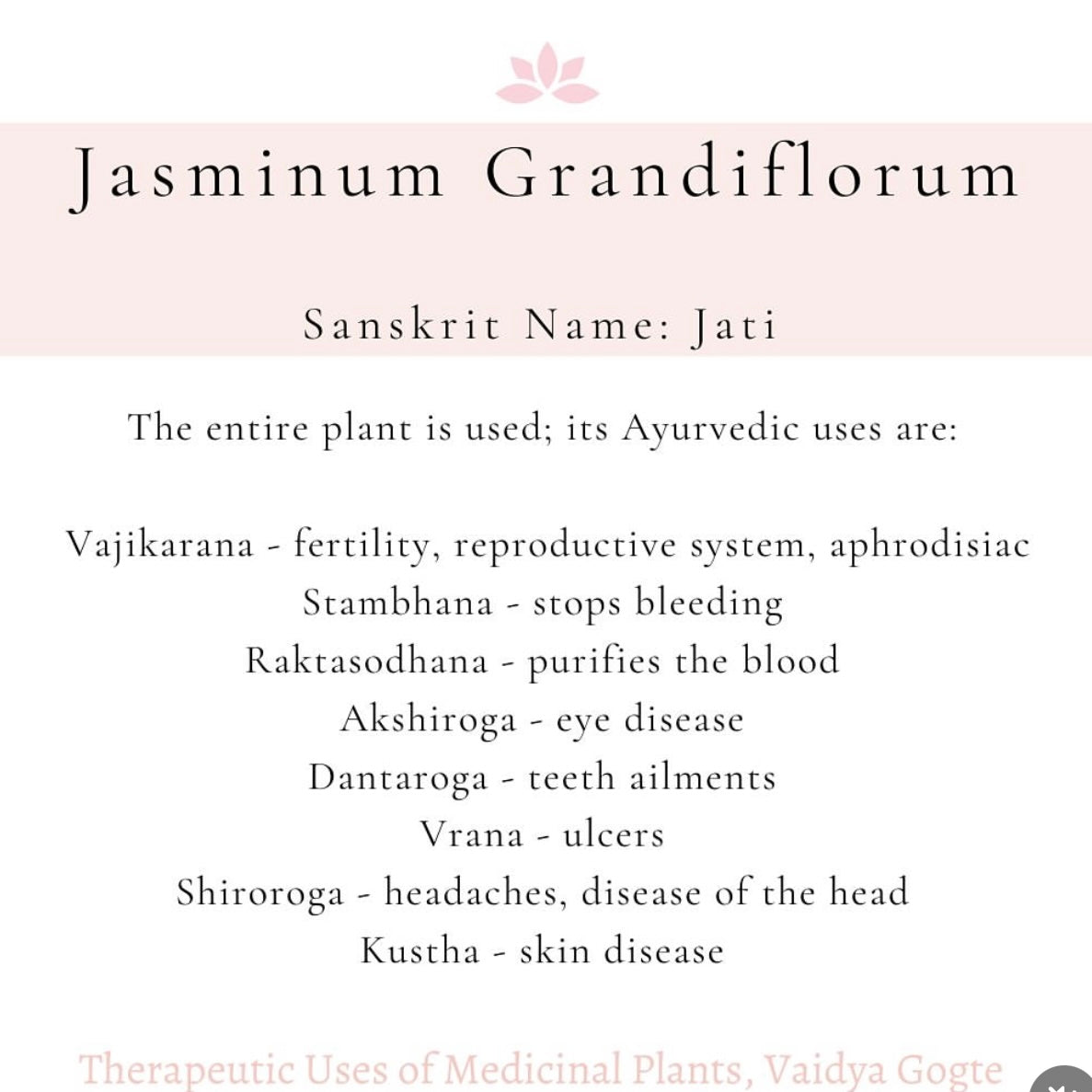 Are you a Jasmine lover?