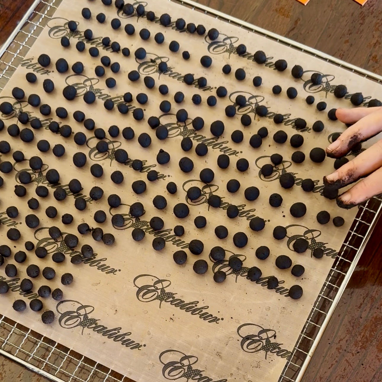 Crafting Triphala Guggulu — an Ayurvedic classic in our clinic