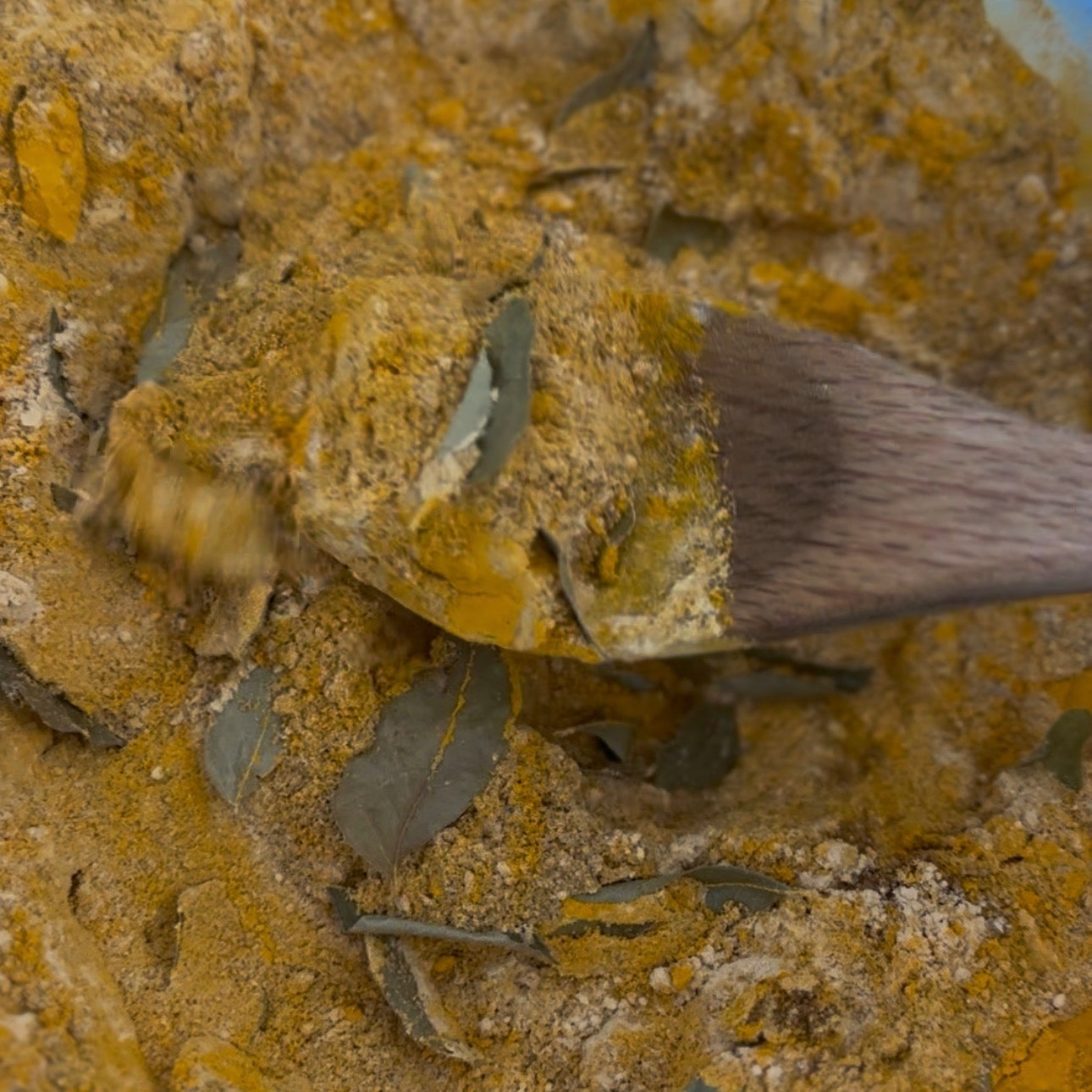 Did you know we sell homemade spice mixes