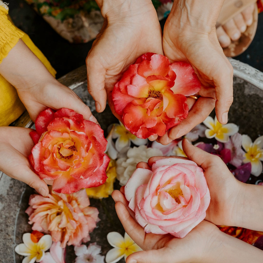 Spring has officially arrived!