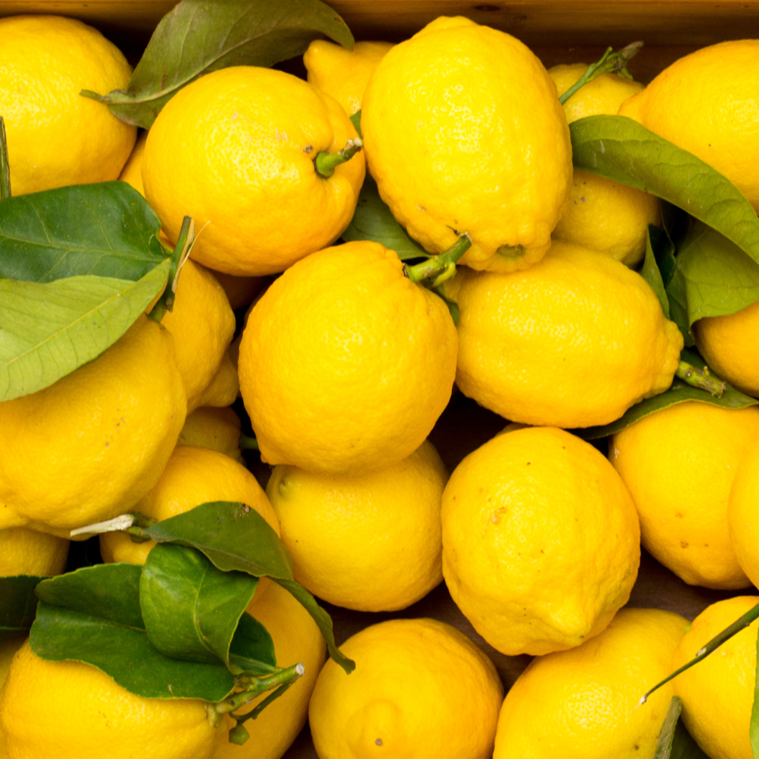 Lemon Tree Abundance.