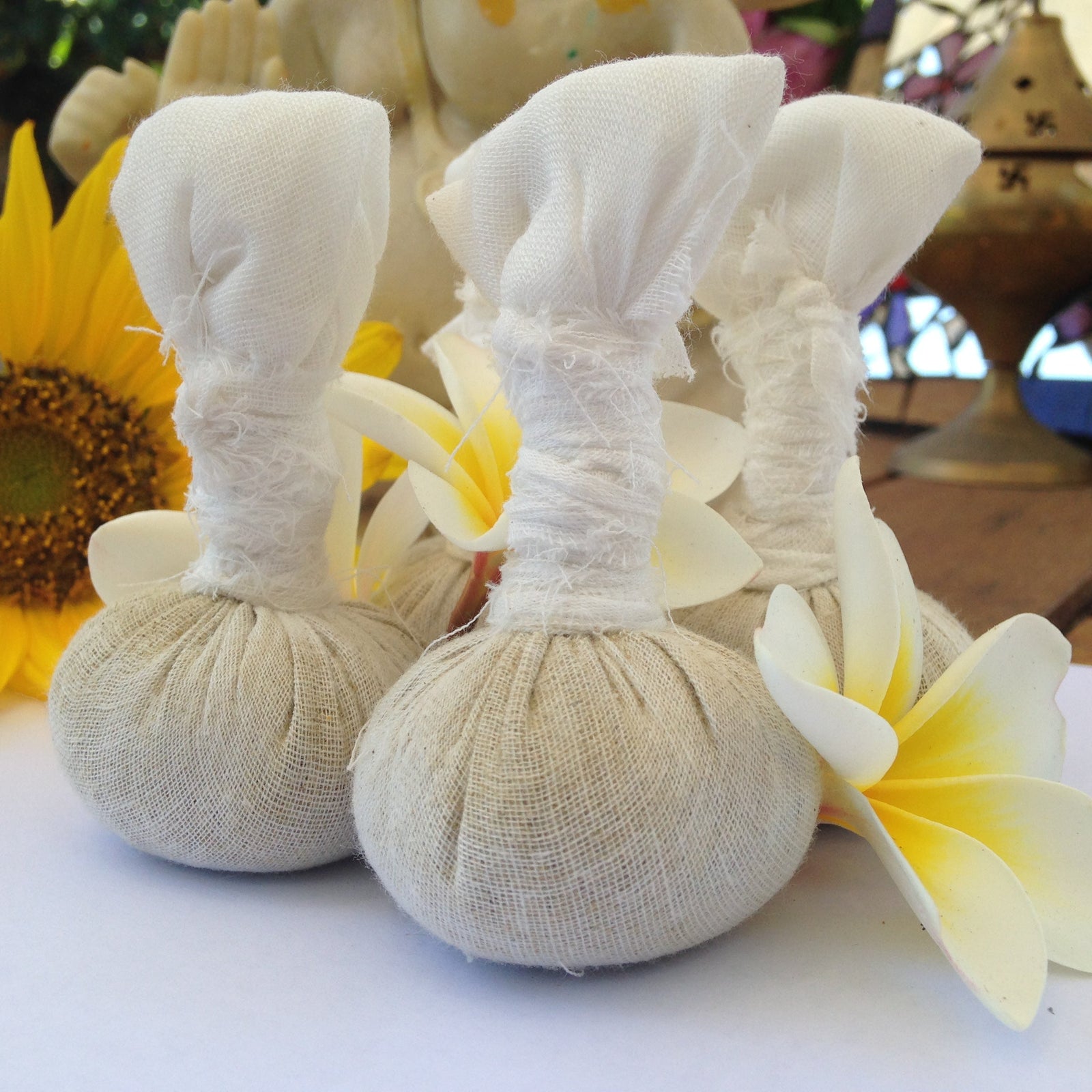 What is Ruksha Pinda Sveda?