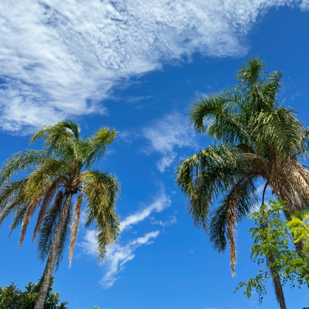 Ayurvedic Tips for Summer.