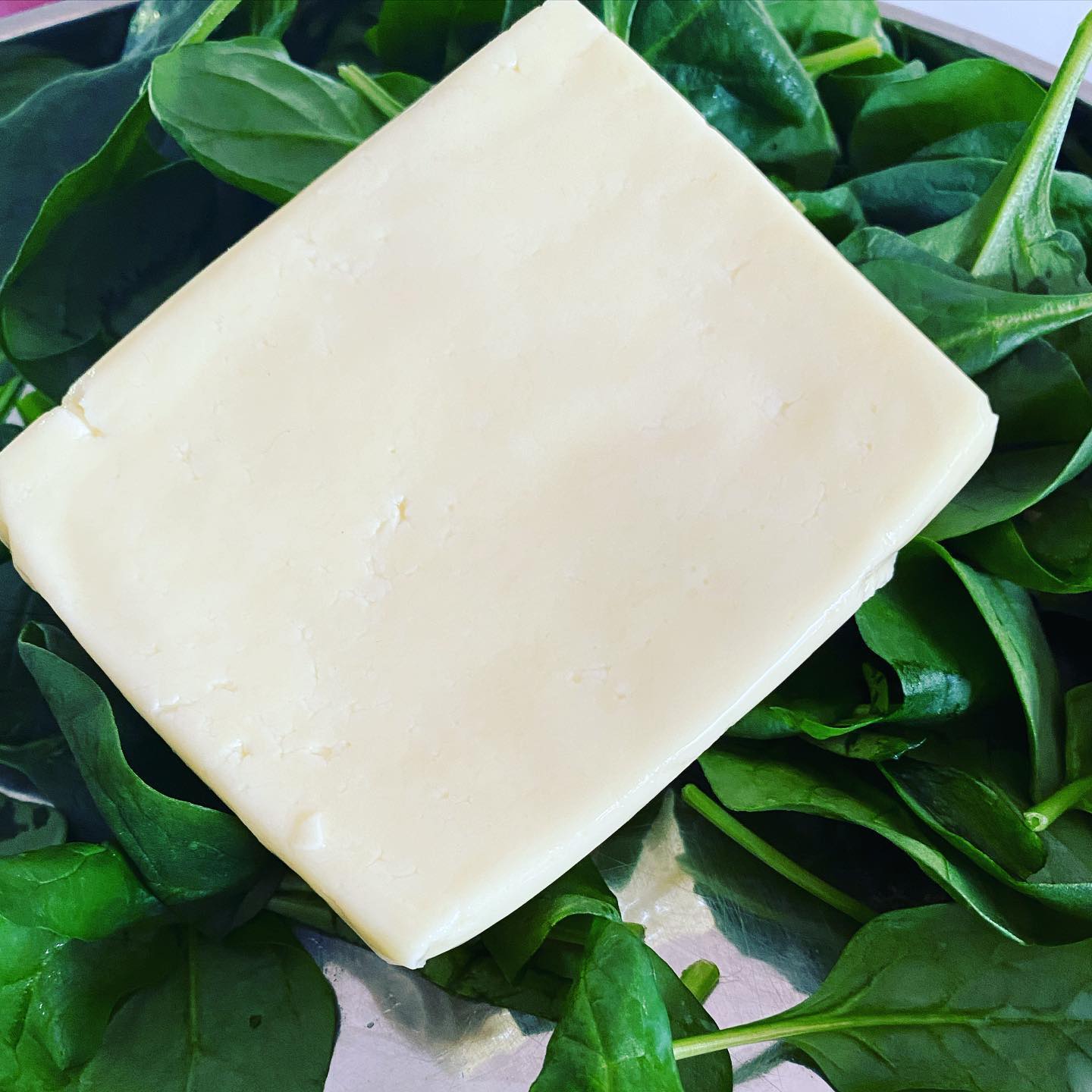 Are you a cheese lover?