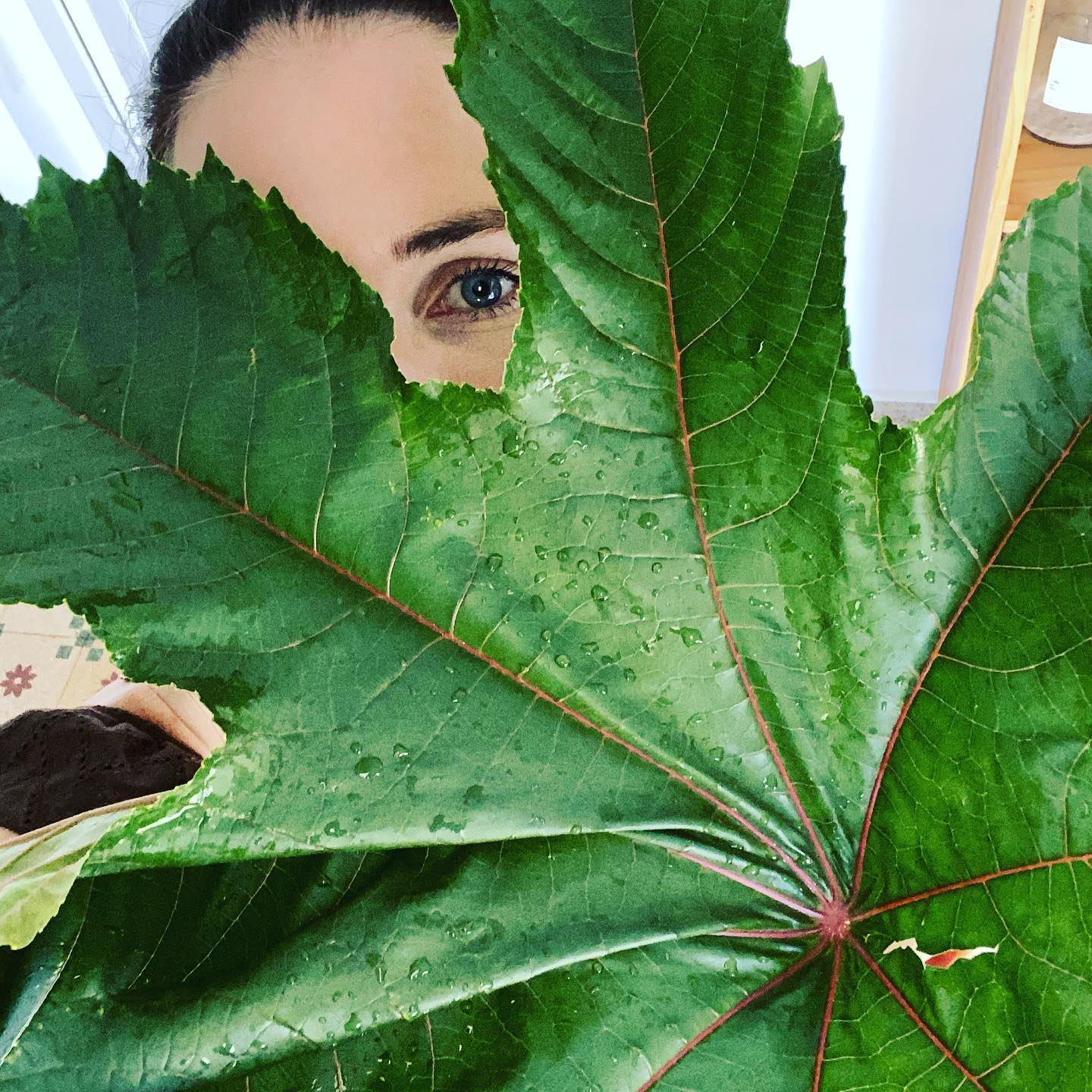 Patra Pinda Sveda Treatment