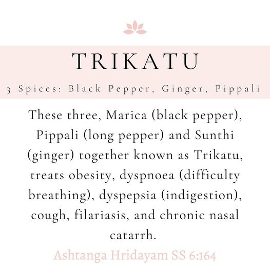 Trikatu churna – the three spices formula