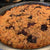 Mulberry Cake Recipe