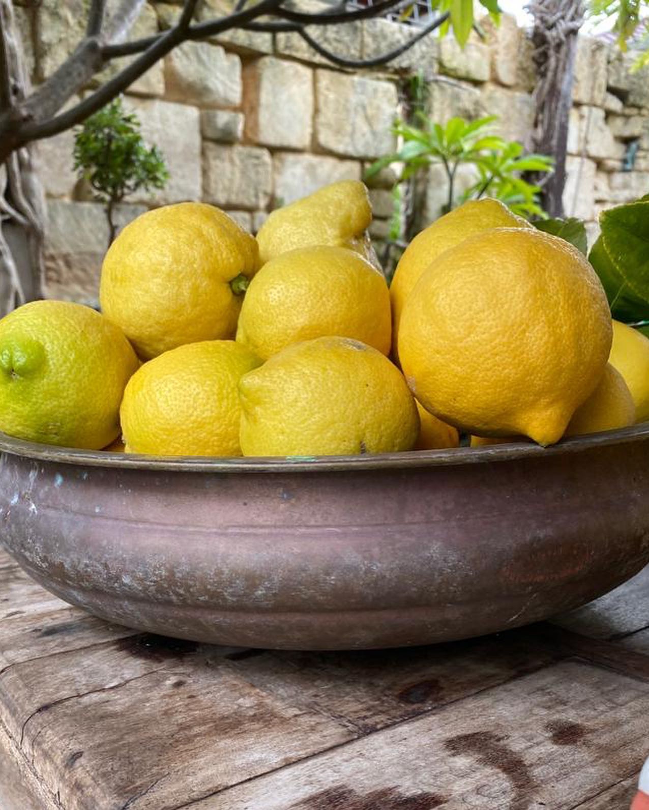 Lemon is called Jambira/ Jambeera जम्बीर in Sanskrit.