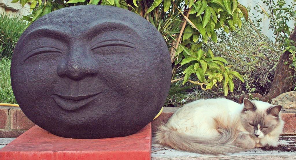 Ayurvedic Perspective on Taking Naps