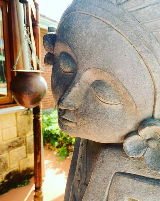 Transition into Menopause