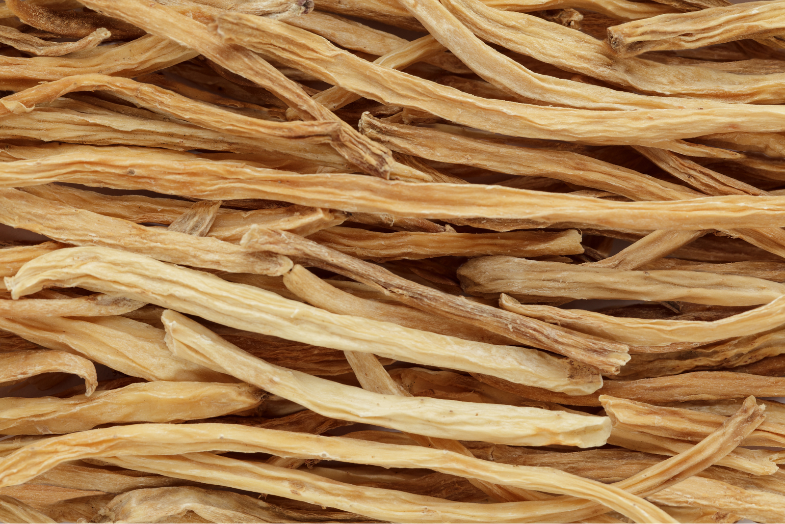 Shatavari was a herb we have prescribed often at the clinic this week!