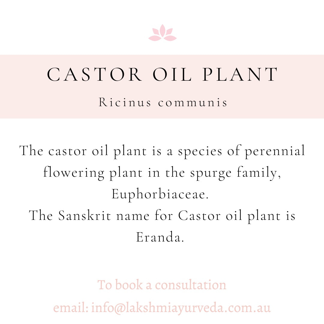 flower planter boxes 40