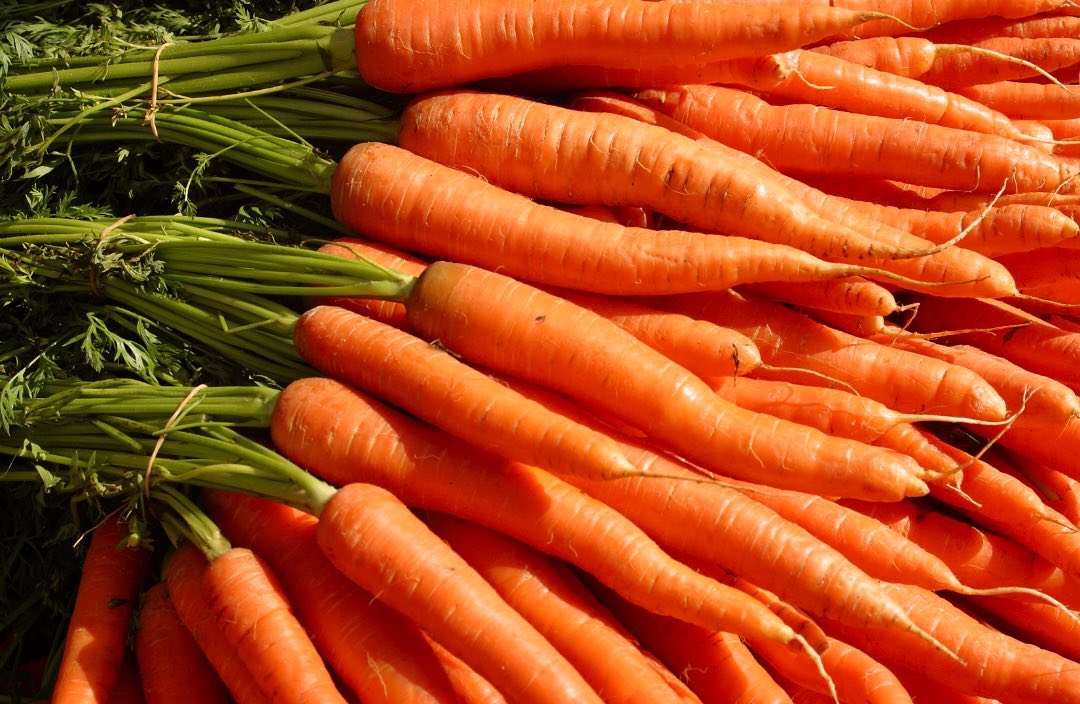 Are you a carrot Lover? 