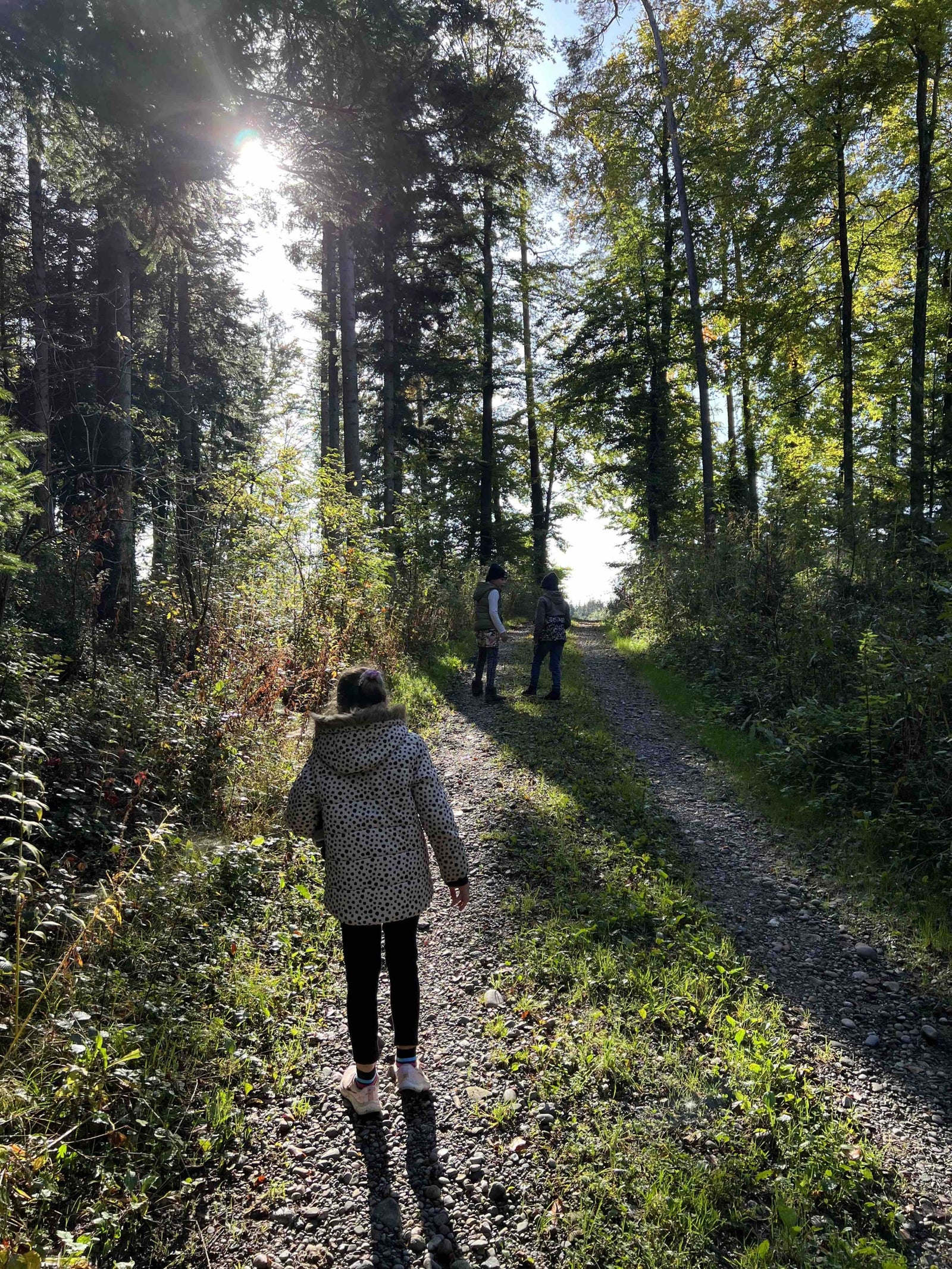 Ayurveda + Digital Fatigue