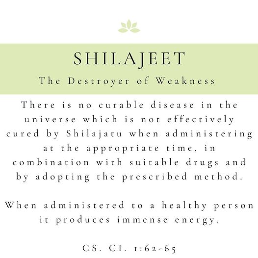 Shilajit - The Destroyer of Weakness. A powerful Rejuvenation (Rasayana)