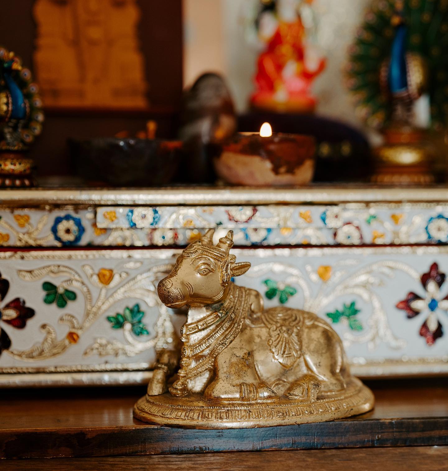 Have you seen our Nandi when visiting the Lakshmi clinic?