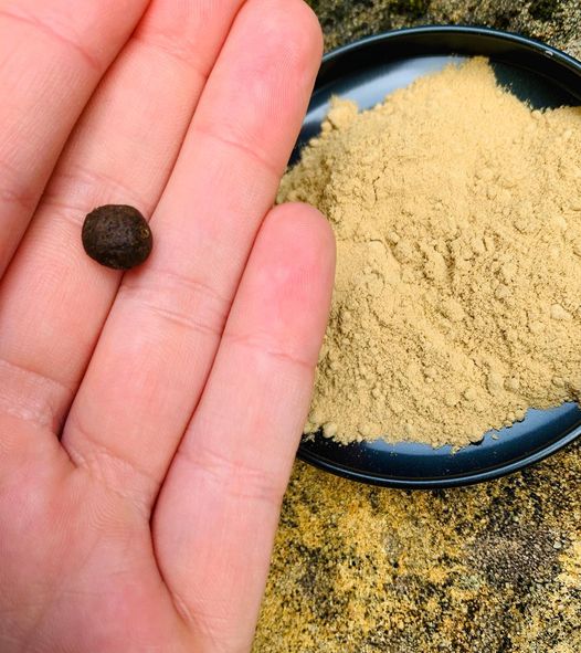 Have you heard of Triphala?