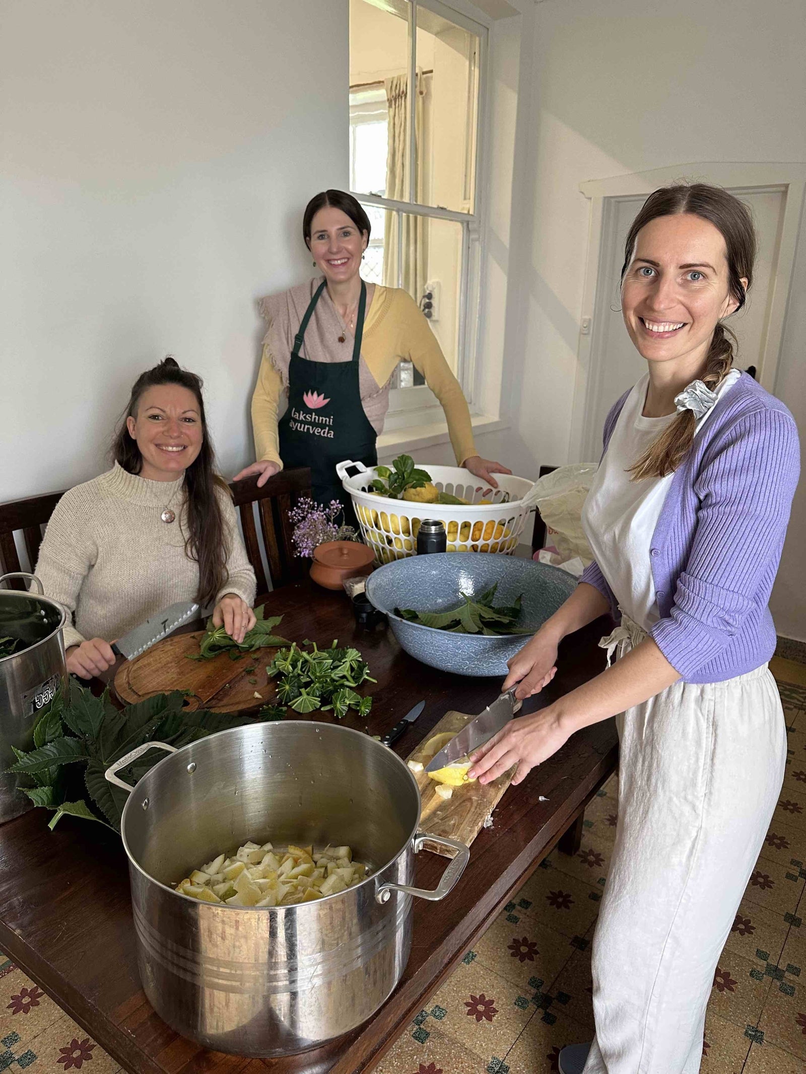 Certified Pinda Sveda Training Course 