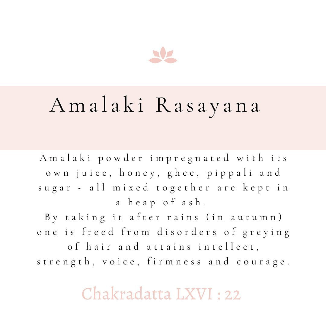 Freshly prepared Amalaki Rasayana is back in stock!