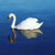Hamsa - Swan in Ayurveda
