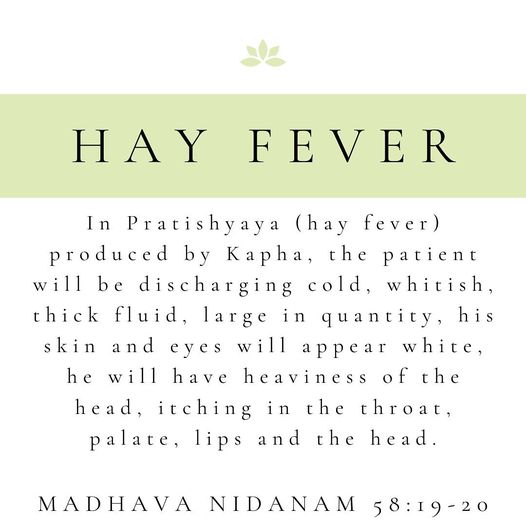 Ayurvedic Approach to Hay Fever