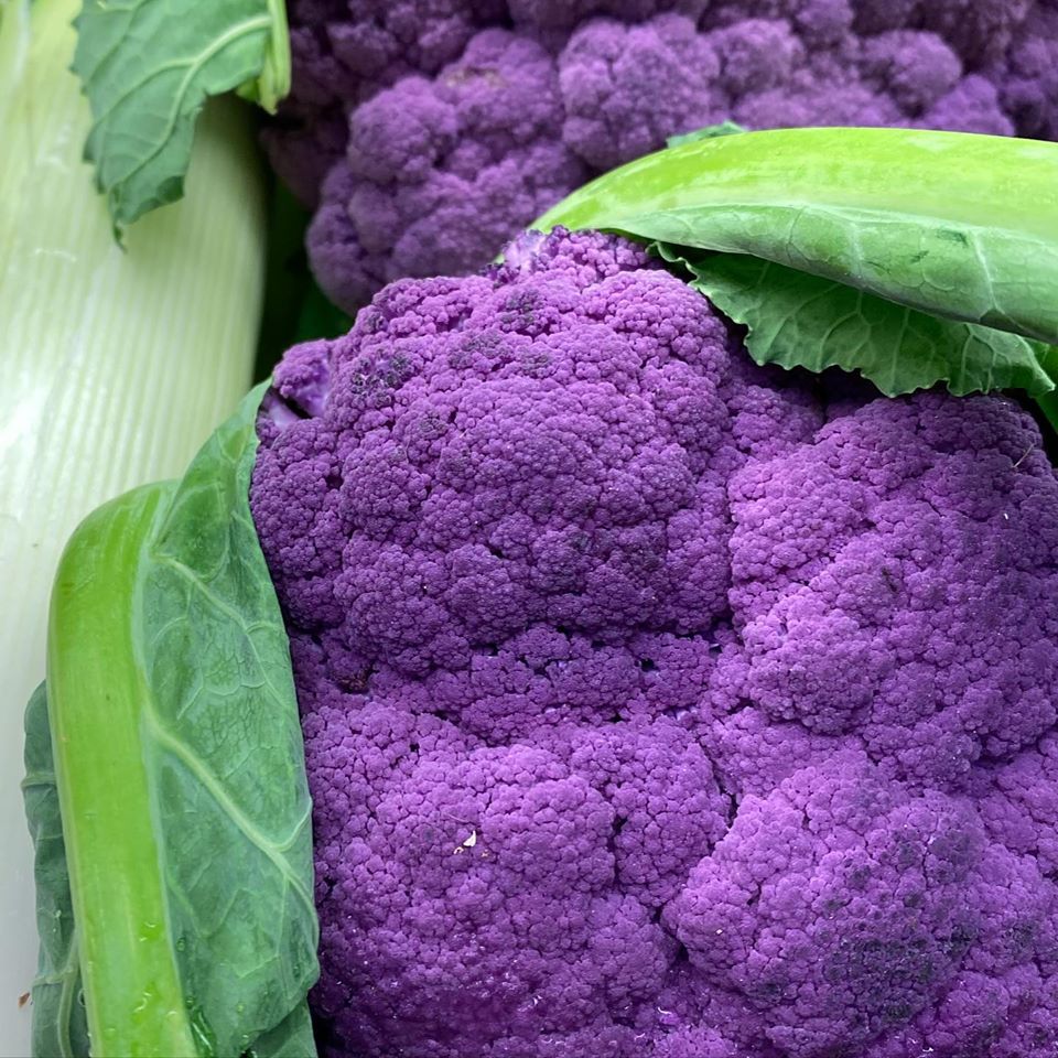 Have you cooked with Fennel Bulb?