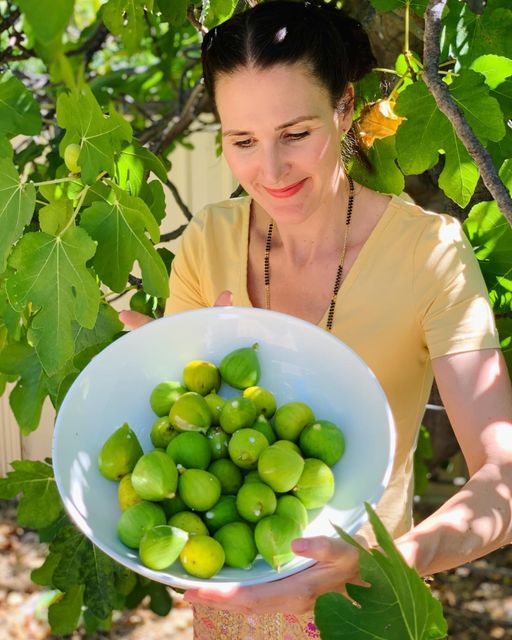 We have had our first fig harvest of the year!