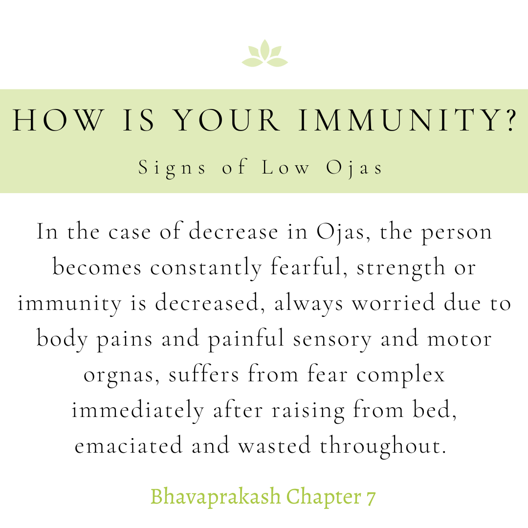 Building Stronger Immunity with Ayurveda
