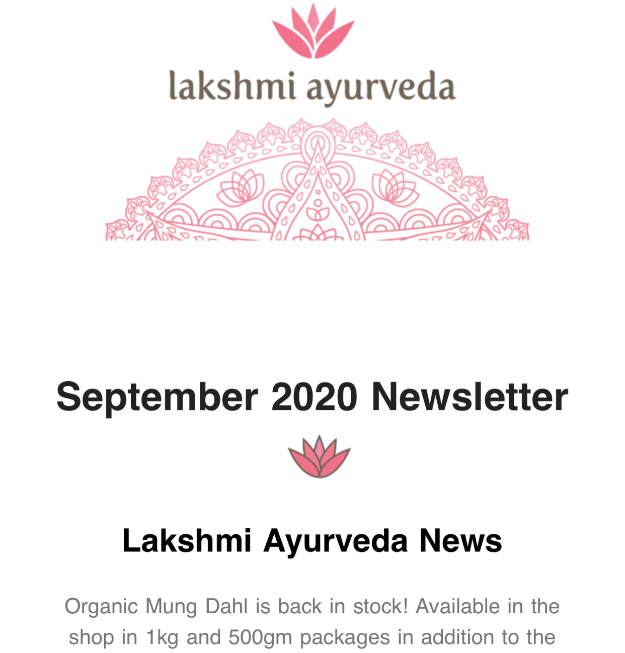 September 2020 Newsletter