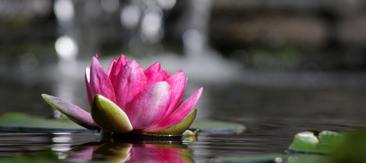 The Heart is the Seat of the Consciousness - Hridaya