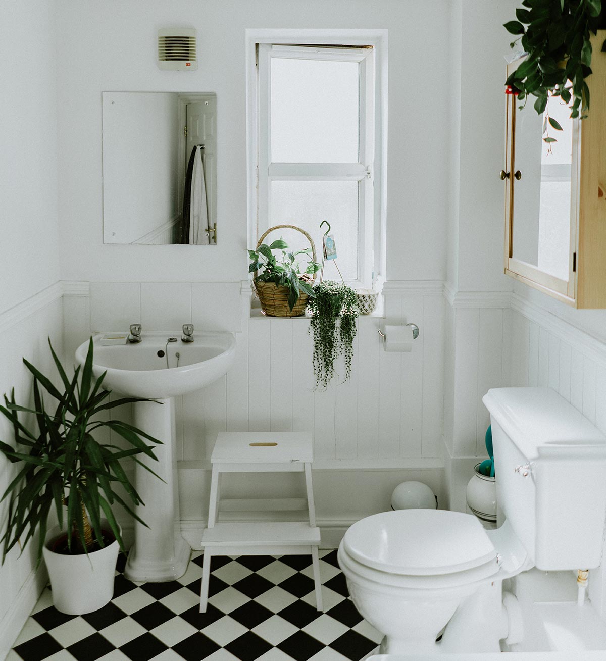 To Sit or to Squat? The best way to have a poo...