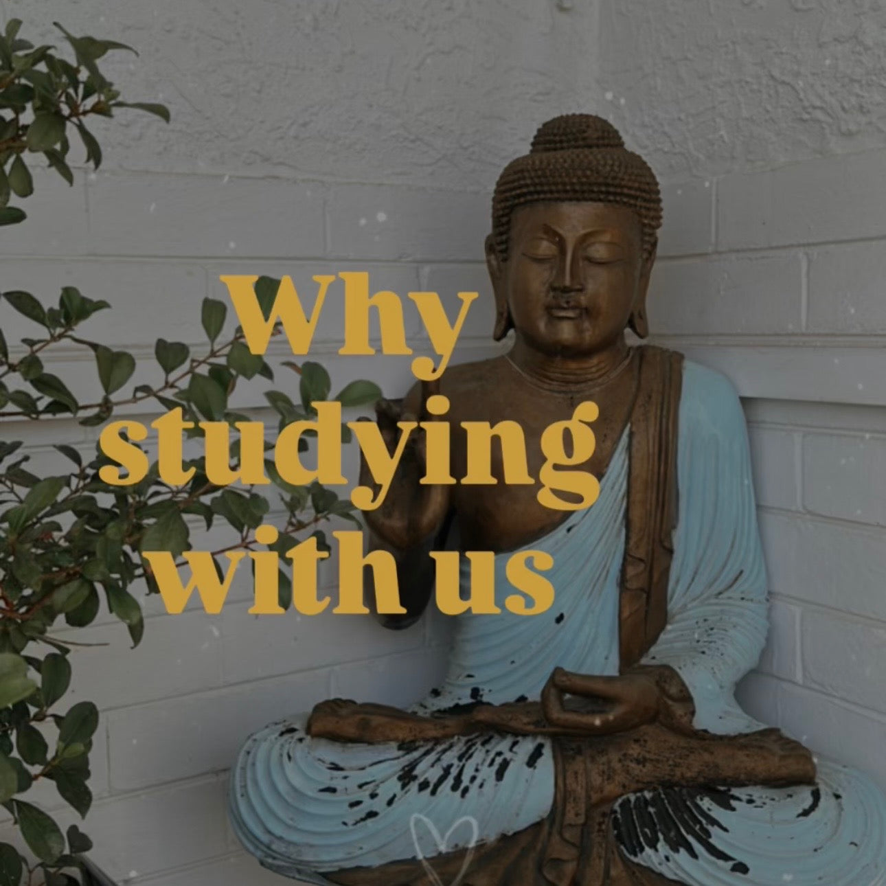 Why we don’t teach Ayurveda purely online