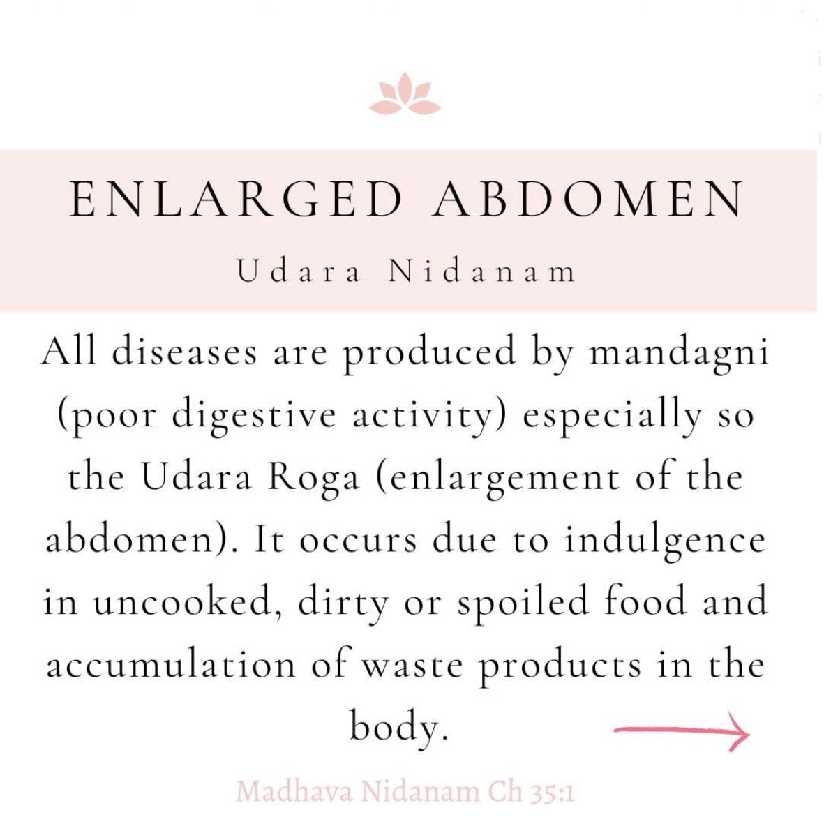 Struggling with Digestion or Persistent Bloating?