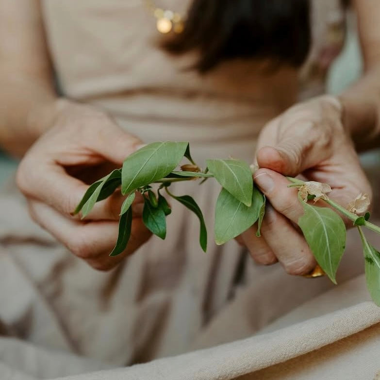 Lakshmi's New Hair oil