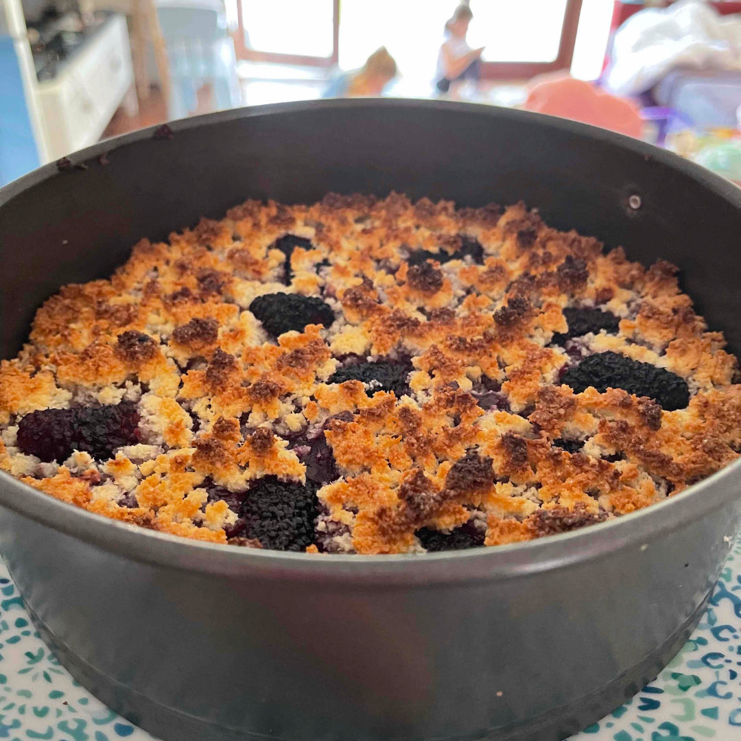 It is Mulberry Season here in Perth!