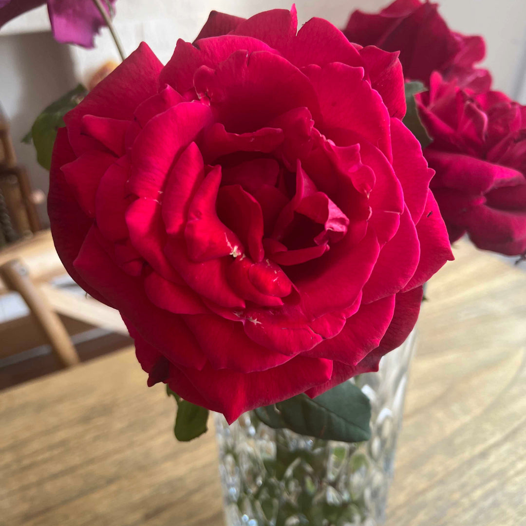 Balance your emotions with a delicious rose petal jam