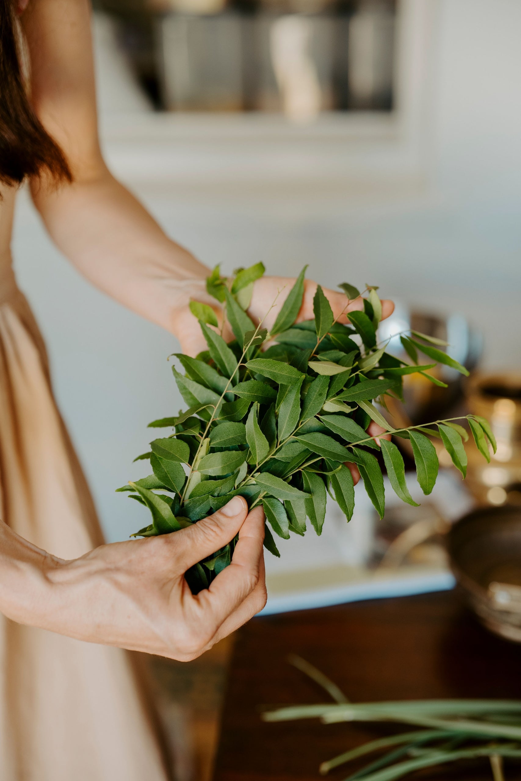 Curry Leaf Tree - another must-have for your Ayurvedic garden!