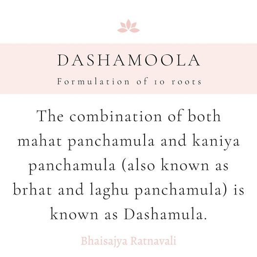 Dashamoola Rashaya Benefits of Dashamoola - Lakshmi Ayurveda