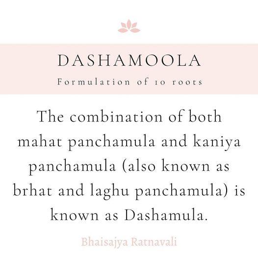 Benefits of Dashamoola