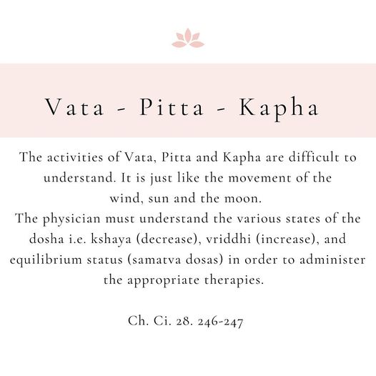 Vata. Pitta. Kapha.