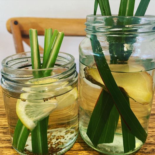 What’s your favourite way to use lemongrass?