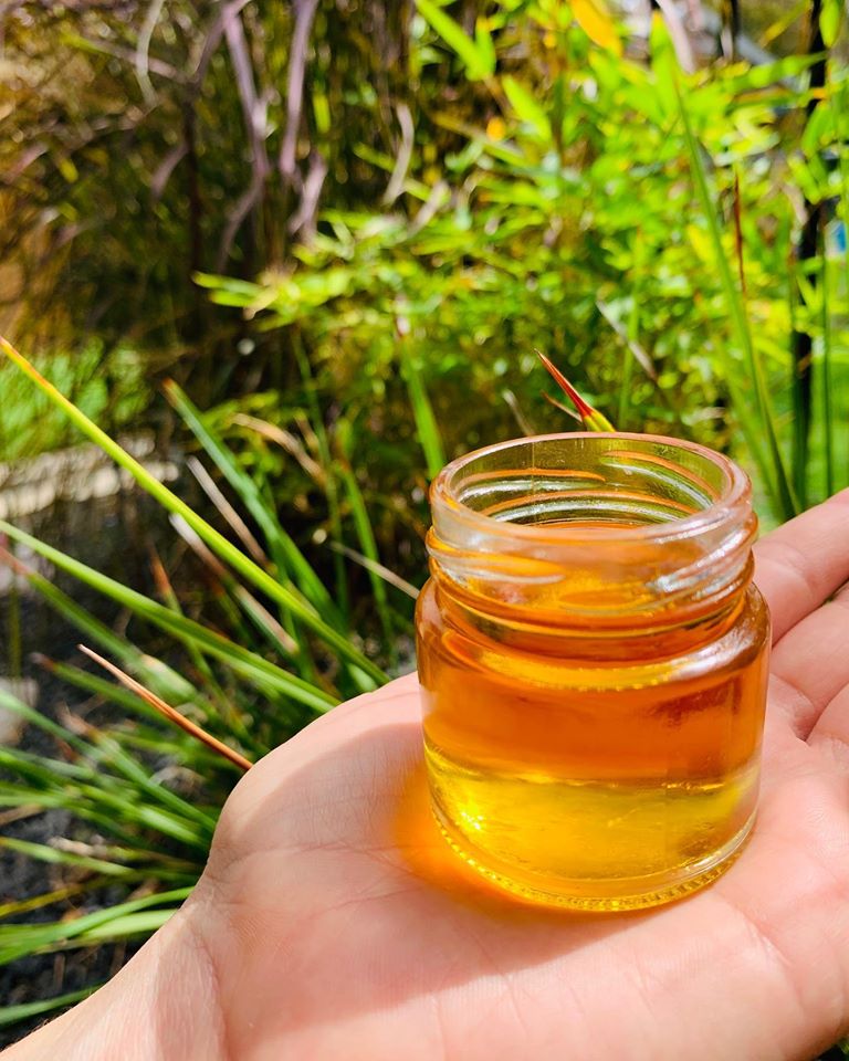 How to use Black Seed Sesame Oil