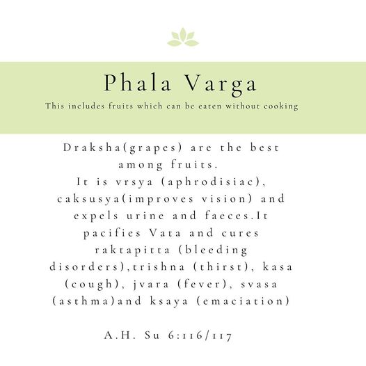 According to Ayurveda, grapes are considered the best among fruits. Lakshmi Ayurveda